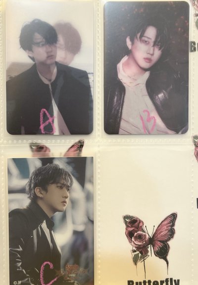 Straykids 彰彬專區🐷🐰