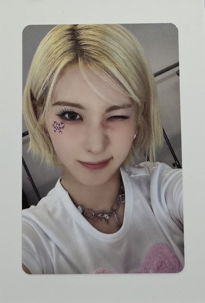 三期會員 會員禮卡 一套6張