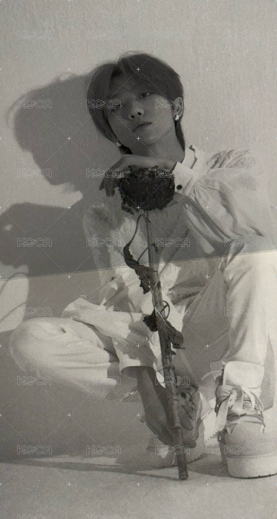 MINI6 海報  背面