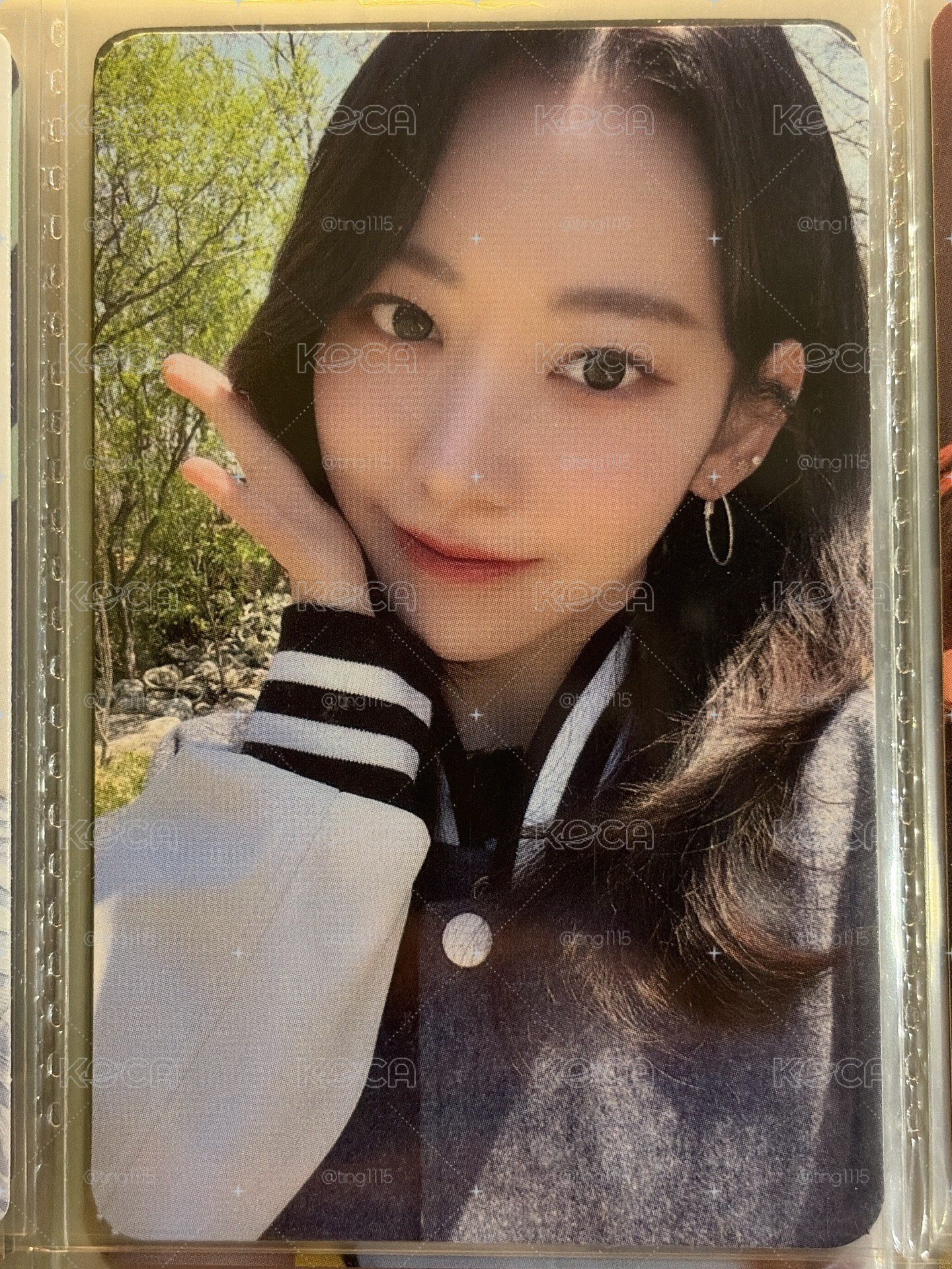 捧臉櫻花