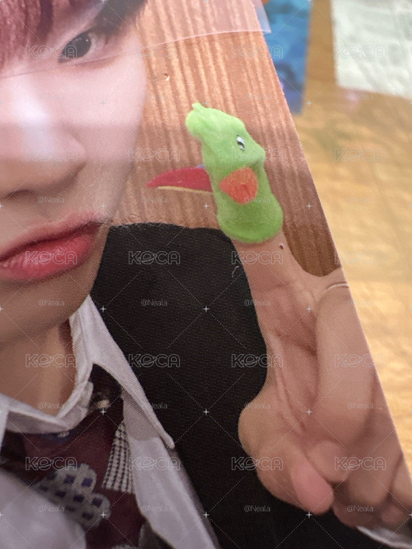 HOW? 專輯卡 Earth 專卡6 ver.B WOONHAK