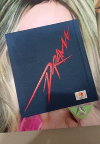 背面標籤撕損，正面完好（無CD）