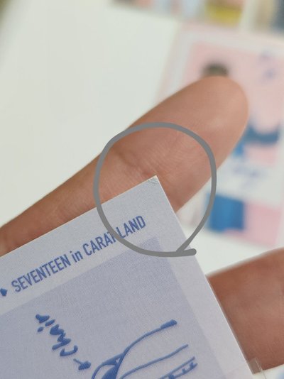 2019克拉島 知秀 卡包卡一套🦌