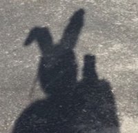 11 （緩慢出物中...）