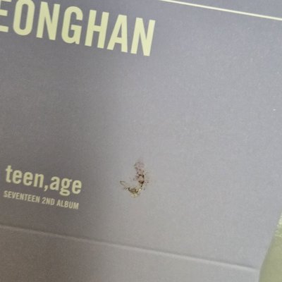 Seventeen正規二全專