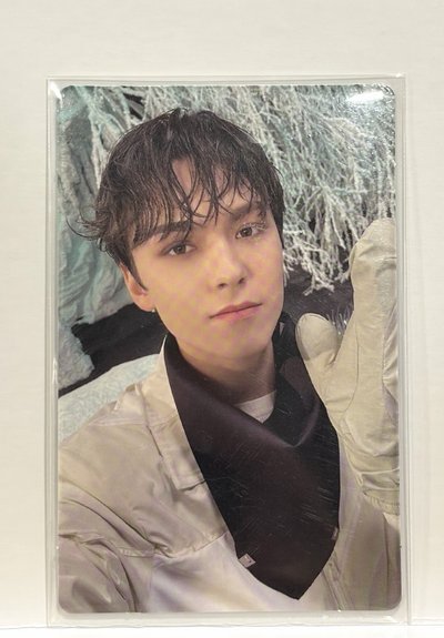 Seventeen小卡/Vernon