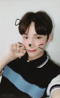 迷一 狗狗 打歌卡 貓狗公放