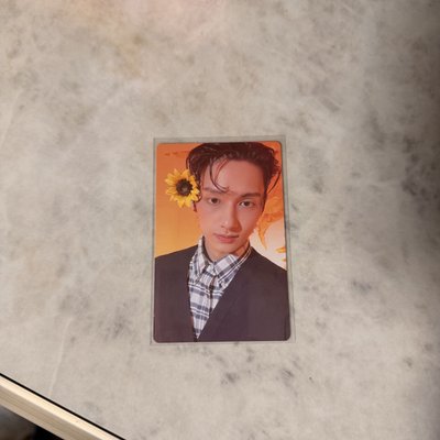 seventeen 精選專 固卡 HERE ver.