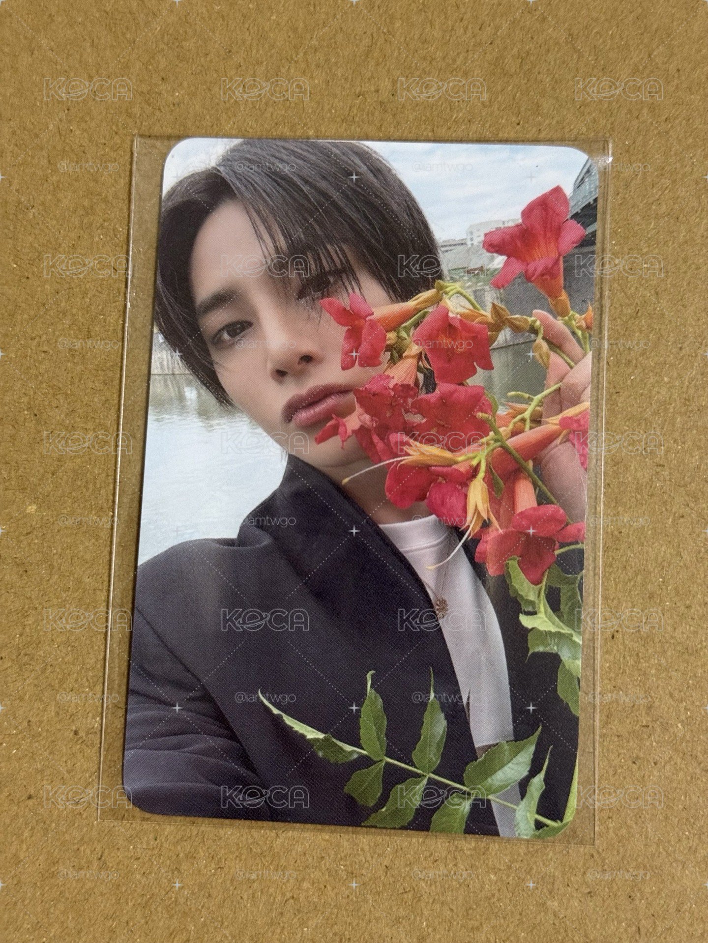 花美男🦊🌷karma快閃第一週滿額