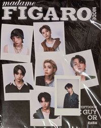 🚪費加羅 雜誌 B版+拍立得3