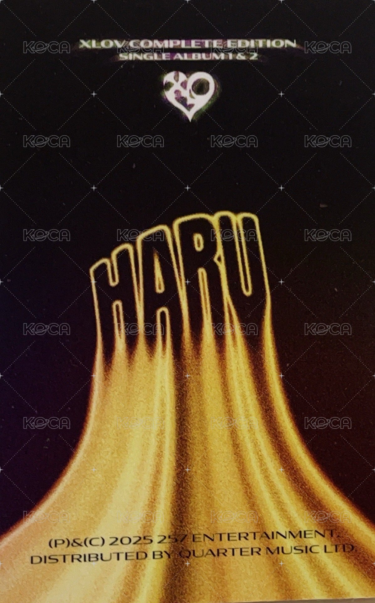 I WILL  專輯卡  背面