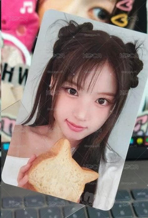 NMIXX 貓咪麵包友