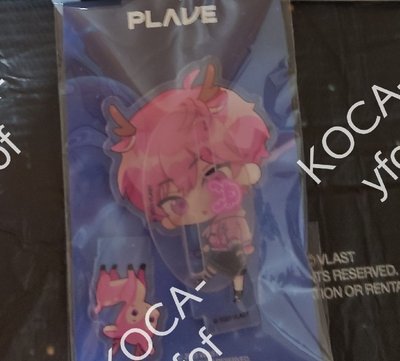 ANIPLUS Q版立牌💗⭐需綁500