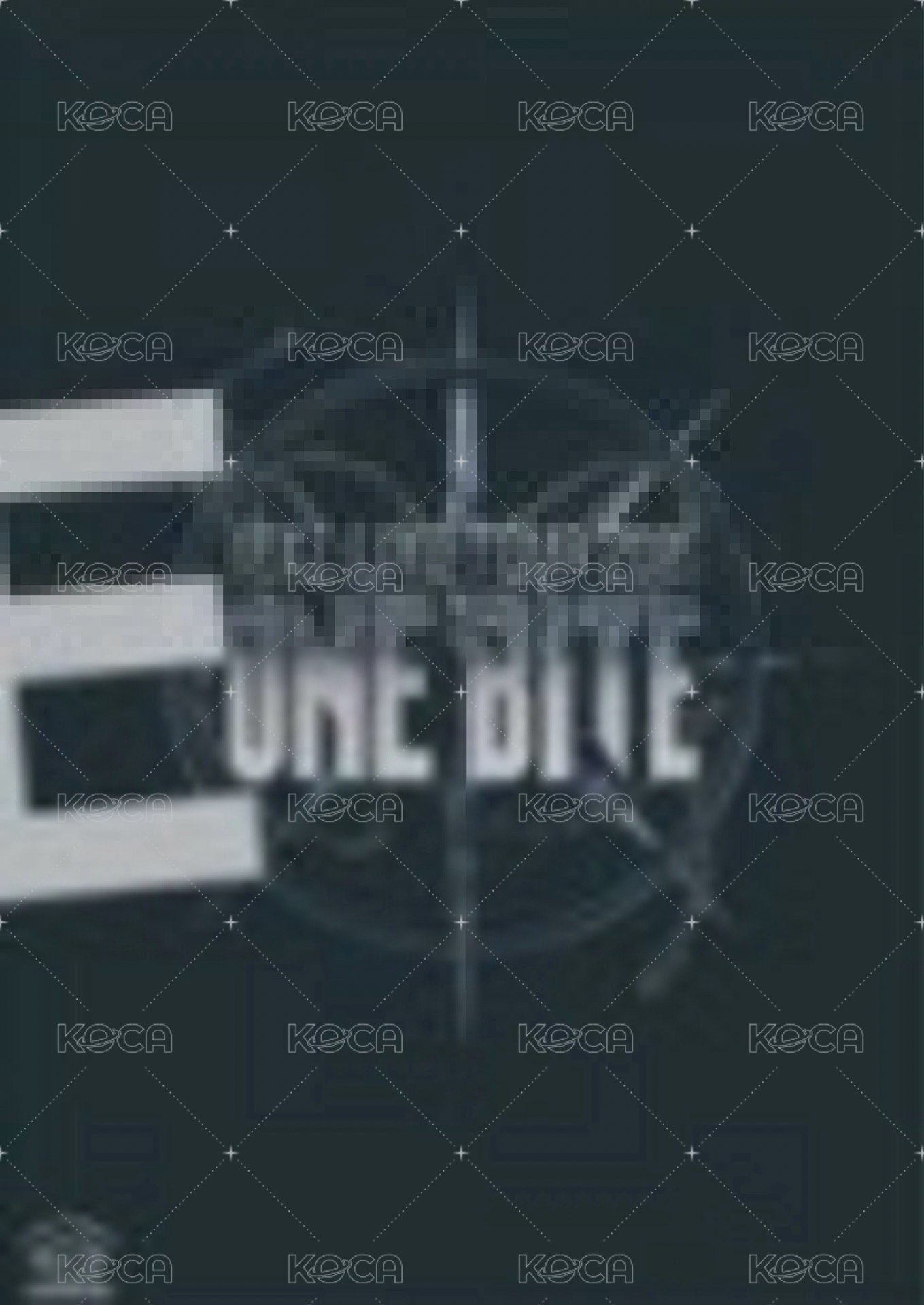 2025 日巡武道館藍光 塔店 涉谷店限定特典 海報  背面