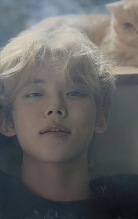 迷七 塔店 特典卡 