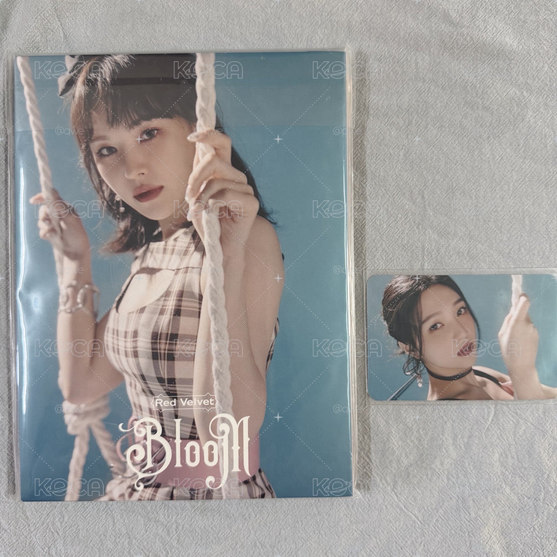 Red Velvet Bloom WENDY專輯 JOY小卡