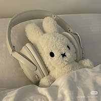 想喝桃子冰美（補包材中）