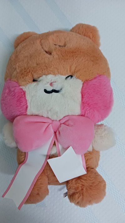 binini蝴蝶結中娃