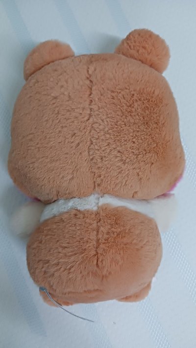 binini蝴蝶結中娃