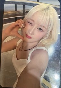 正規一 bdm 特典卡 