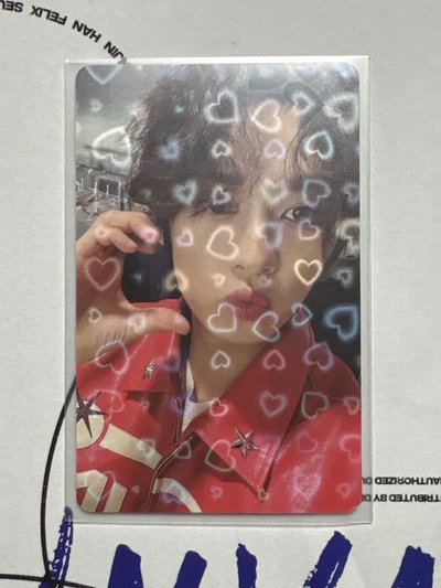 （中背）捲毛小貓是闊愛滴