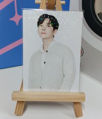 秀秀HOME隨機卡（懶惰拍照片可以看圖鑑決定）