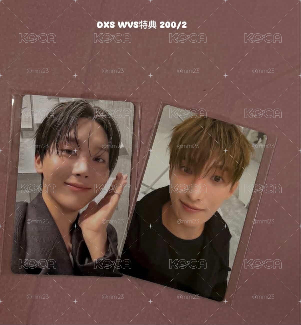 DXS WVS