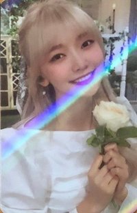 -77.82X-78.29 專輯卡 