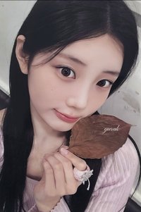 NOT CUTE ANYMORE yzy 特典卡 楓葉ver.