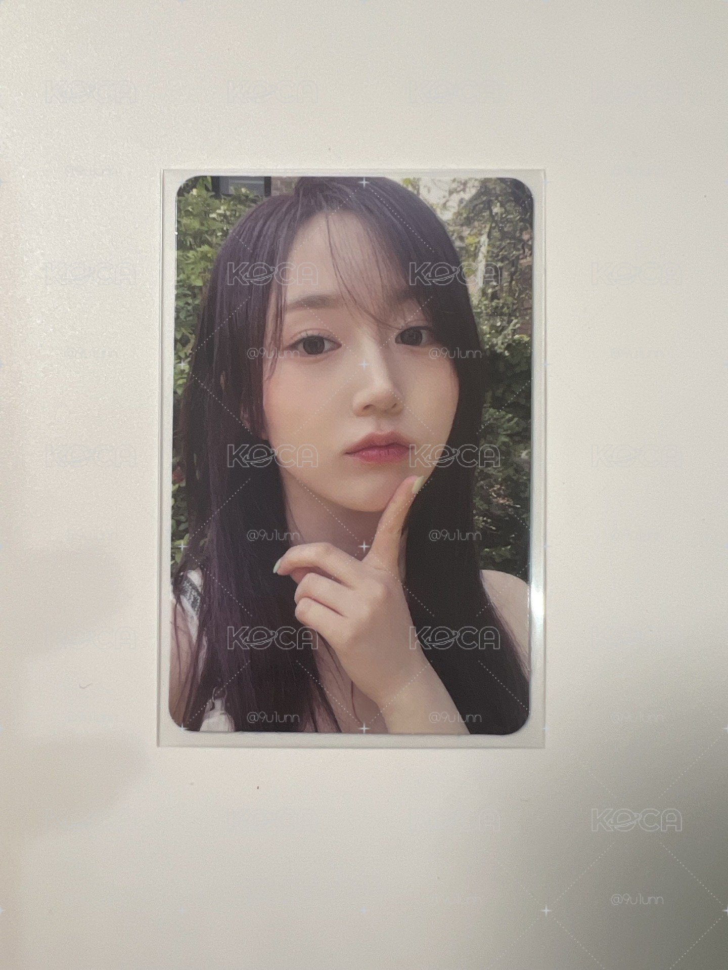 汪
