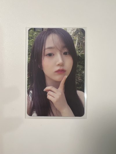 汪