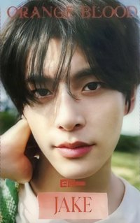 迷五 KMStore 蝦皮 透卡 特典卡 橙花透卡