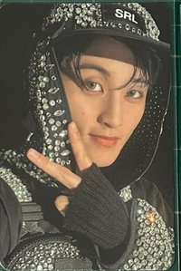 Fact Check Smini 專輯卡 