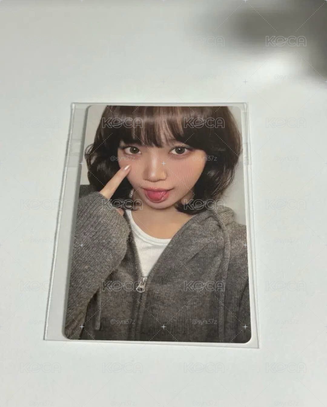 wvs簽售采