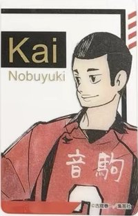 FAN PARK 透明卡 燙金透卡