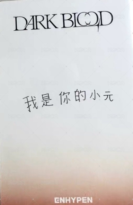 迷四 yzy 迷四一直娛2.0 特典卡 拿花元 背面