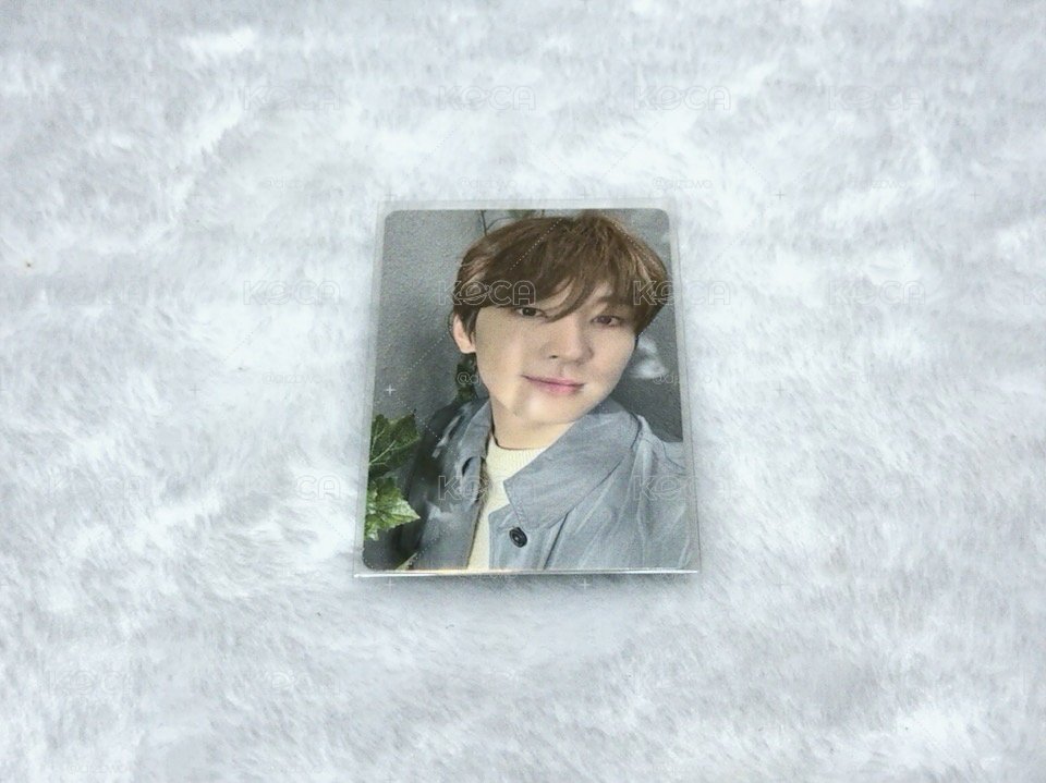 全圓佑Wonwoo 消費期限塔店特典卡