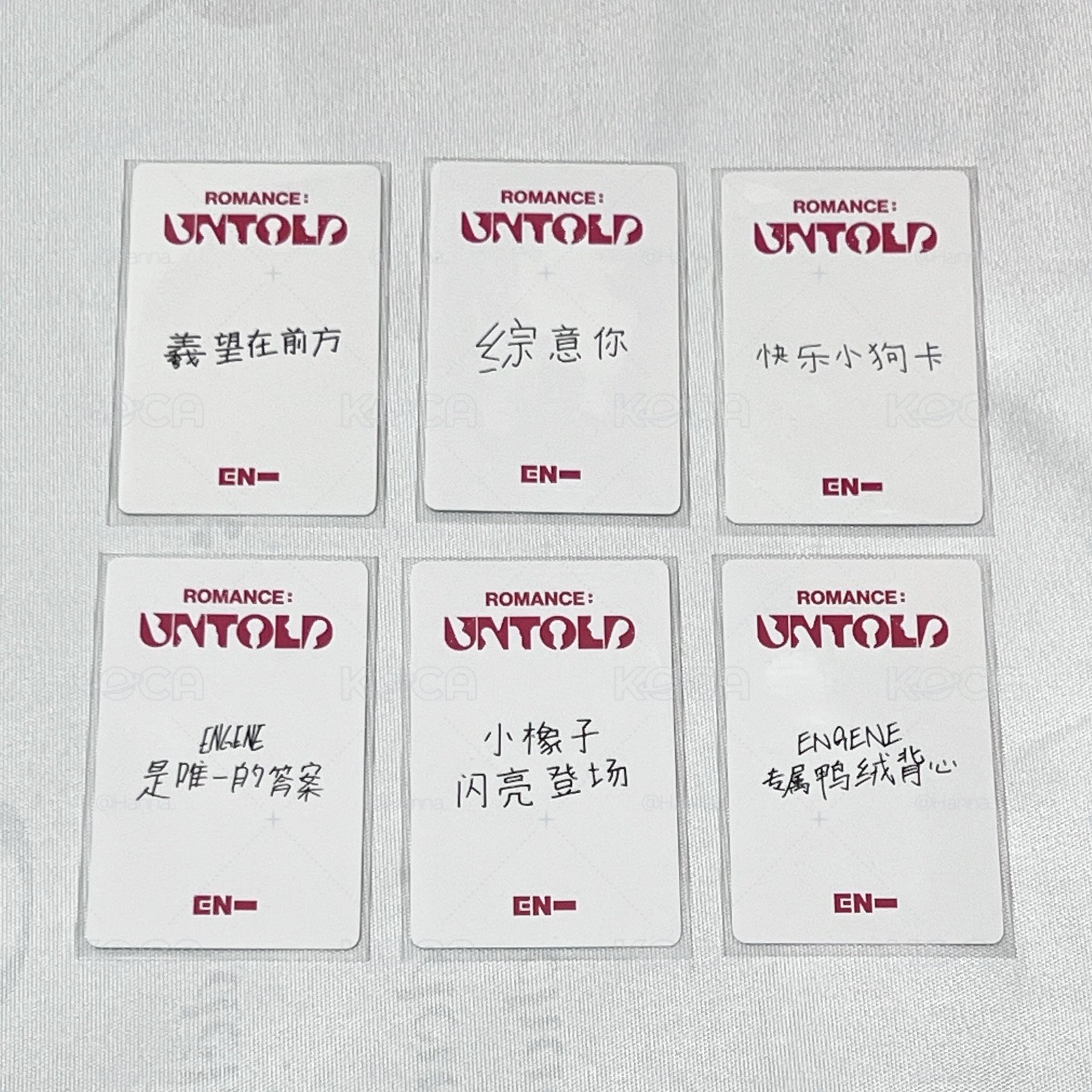 ENHYPEN 正二yzy中背 一套（無6）