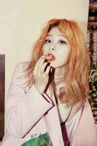 2017年曆 年曆卡 