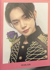 23‘巡迴 粉色版 入場卡 / 場限卡 日巡折頁