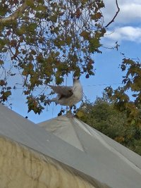 賣一百買五百🥴