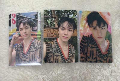 SVT 迷11 WVS電子專