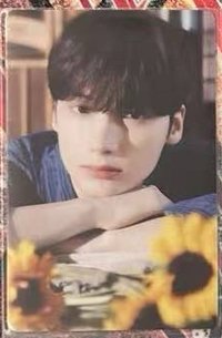 夏日 向日葵🌻