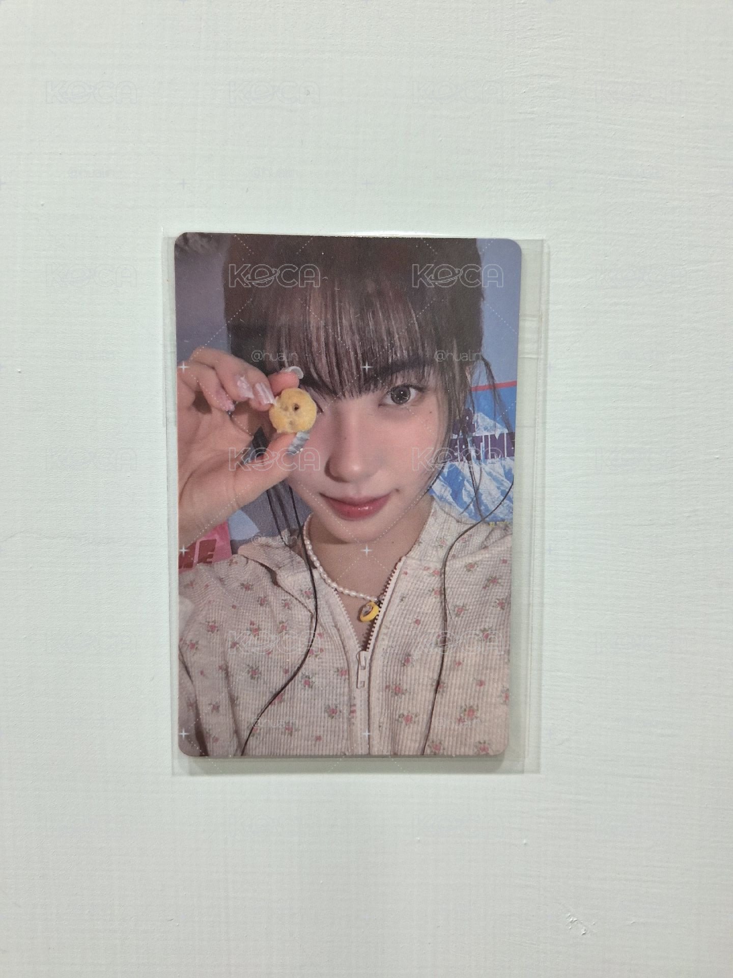pc預售koko