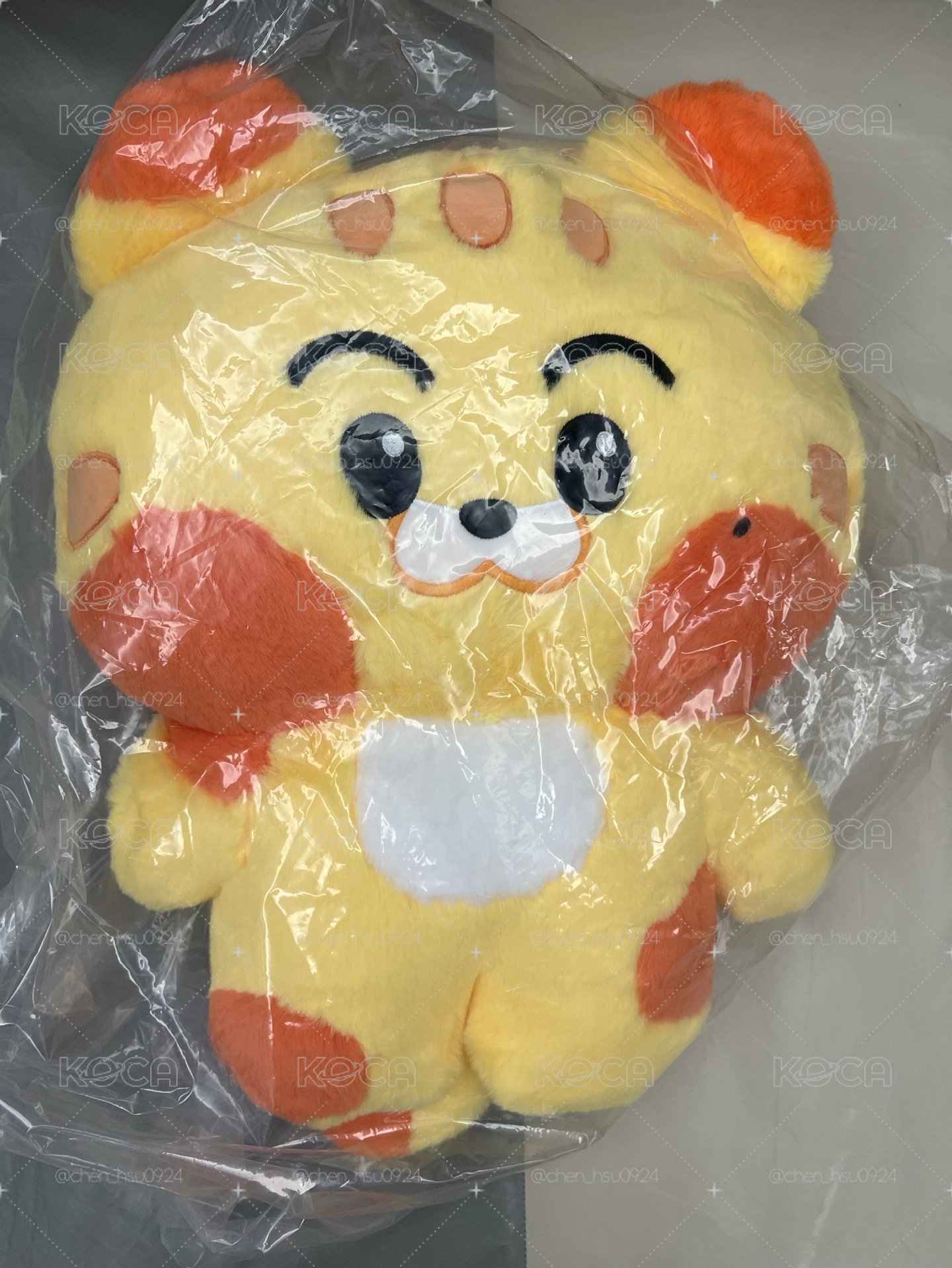 Mark大娃