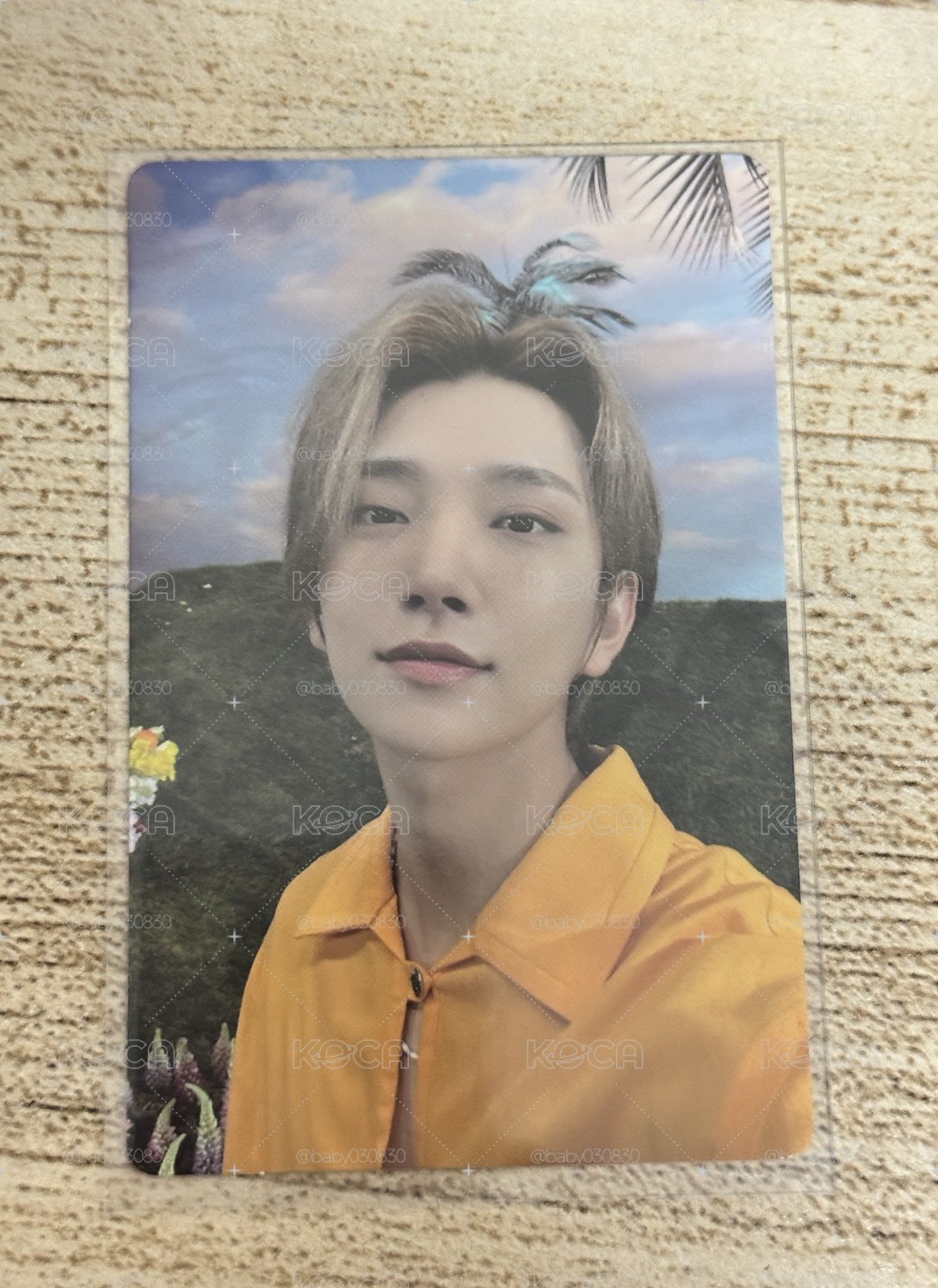 joshua