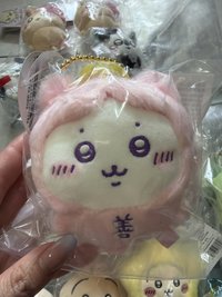 天使寶寶小八貓