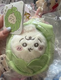 寶寶baby 高麗菜兔兔烏薩奇