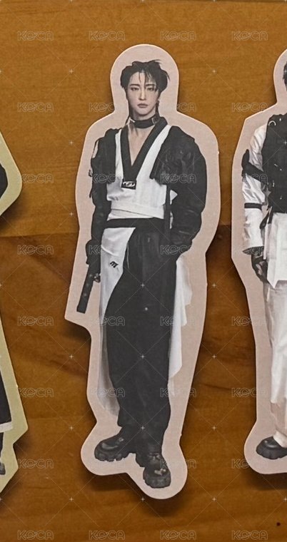 專輯貼紙星