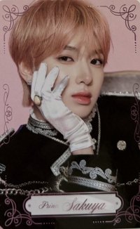 兩週年FM 隨機卡 官拍